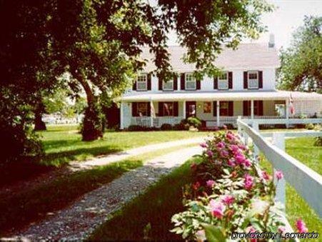 Lazyjack Inn On Dogwood Harbor Tilghman Island Exteriér fotografie